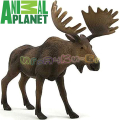 Animal Planet 104112467 Елен лопатар